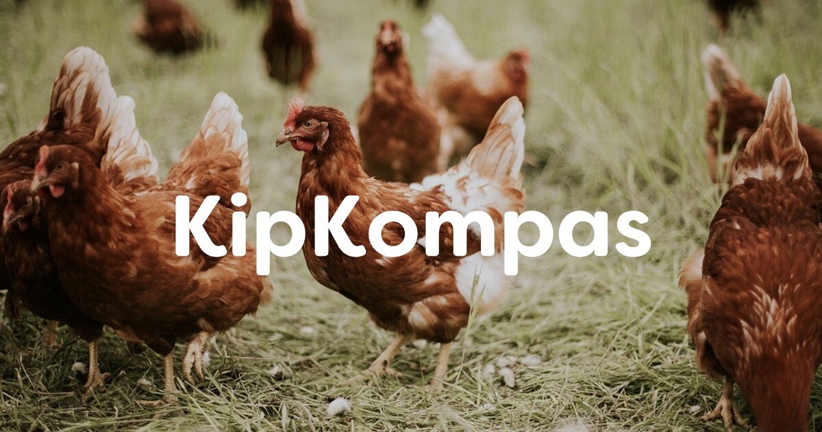 Monitoring animal health and welfare